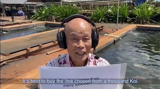 Mamoru Kodama Explains 3 Secrets for Buying Koi Fish