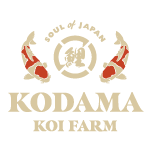 Kodama Koi Farm