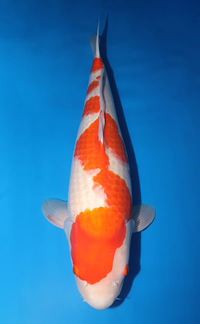 w0116s002