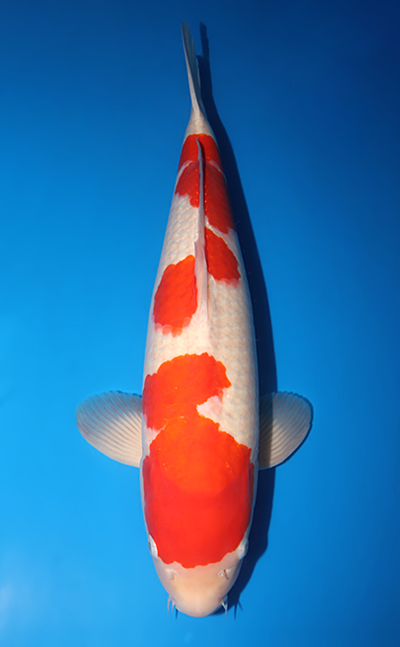 w0117s024