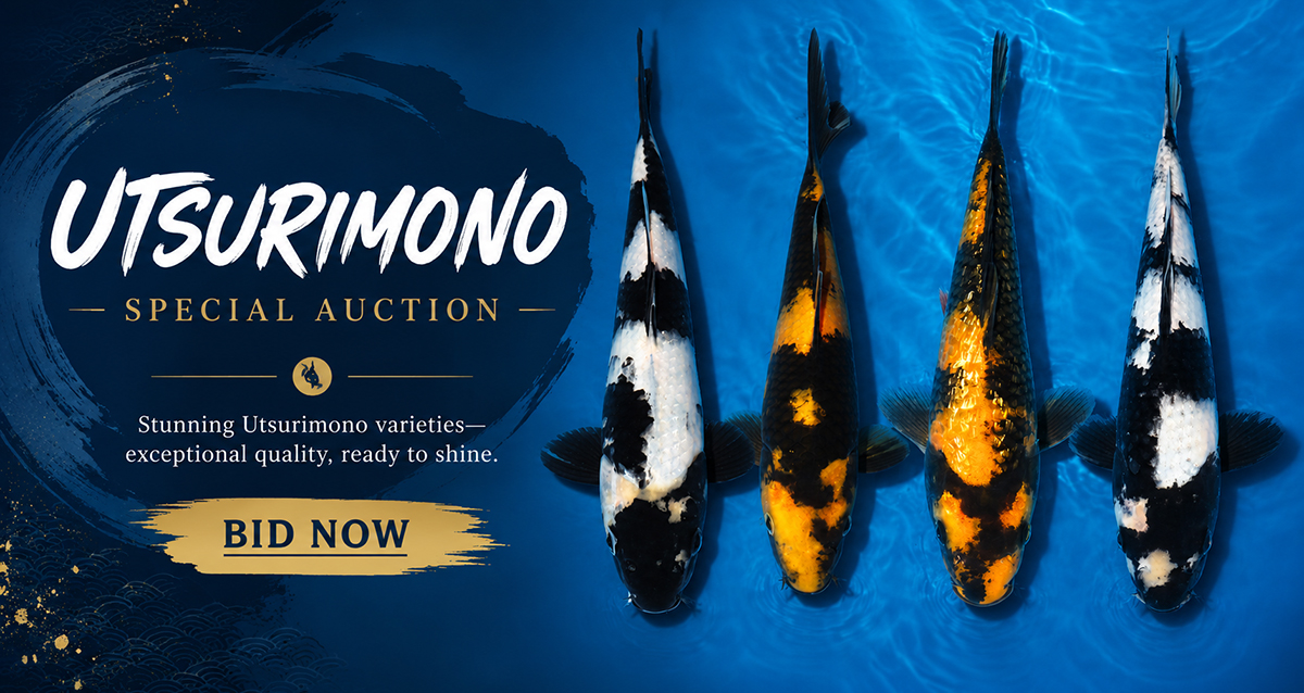 Utsuri Special Auction Banner