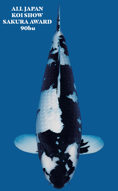 Utsurimono