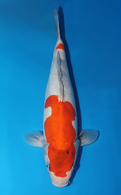 w0710s005