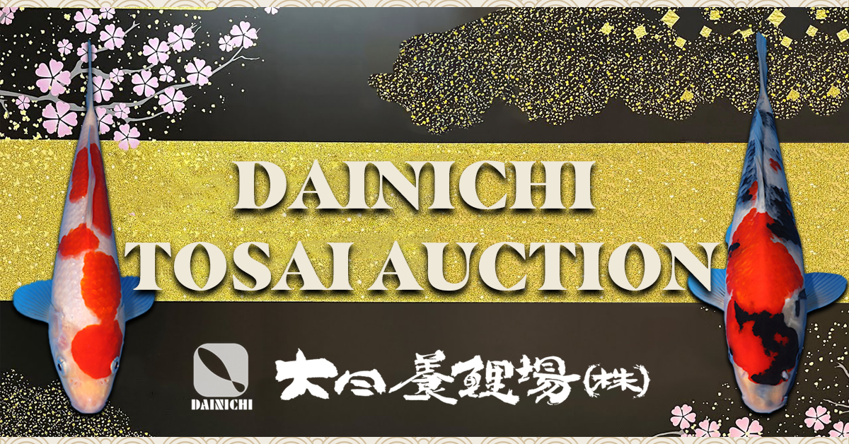 2025 Dainichi Tosai Special Auction Banner
