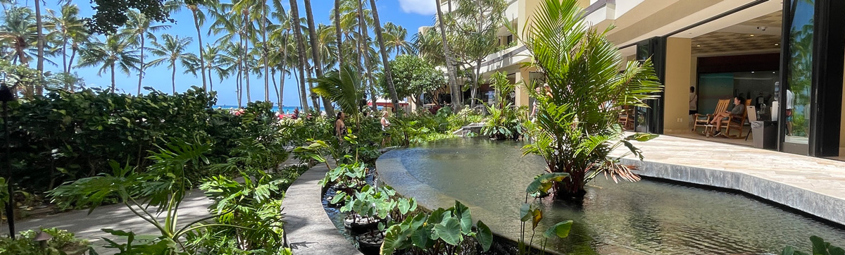 resort-koi-pond