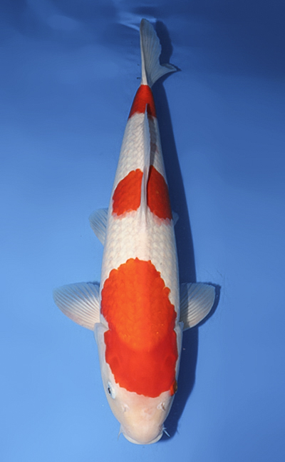 w1019s011
