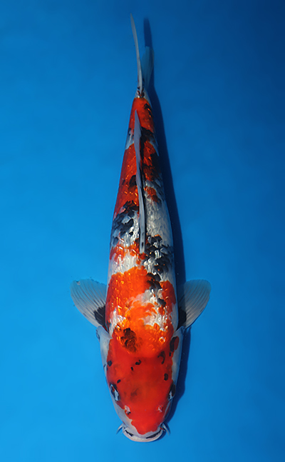 w1023s001