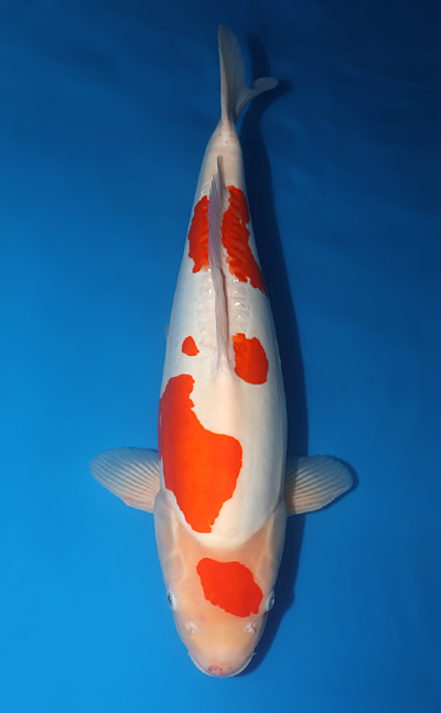 w1101m001