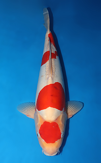 w1101m020