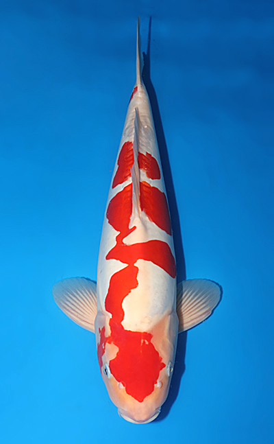 w1101m021