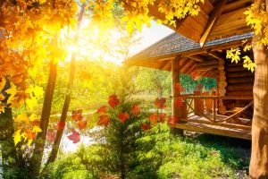 koi-lifespan-autumn-care (2)