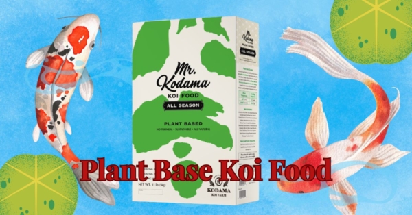 Feeding with Purpose: The Story Behind Our Plant-Based Koi Food
