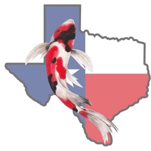 houstop-texas-koi-show