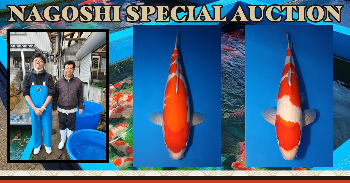 Nagoshi Special Auction No. 2 Landing Page Banner