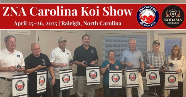 Kodama Koi Farm Shines at the 2025 ZNA Carolina Koi Show