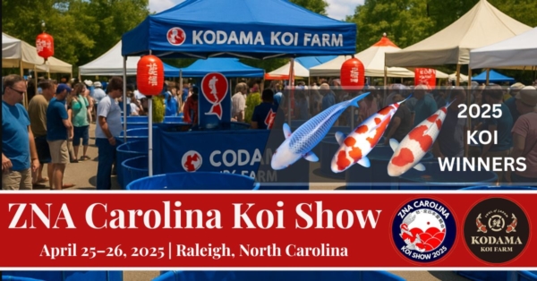 Kodama Koi Farm at the 2025 ZNA Carolina Koi Show