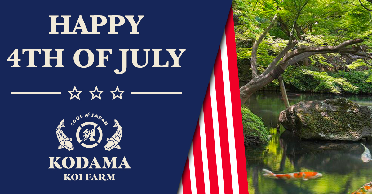 2025 4th Of July Landing Page Banner