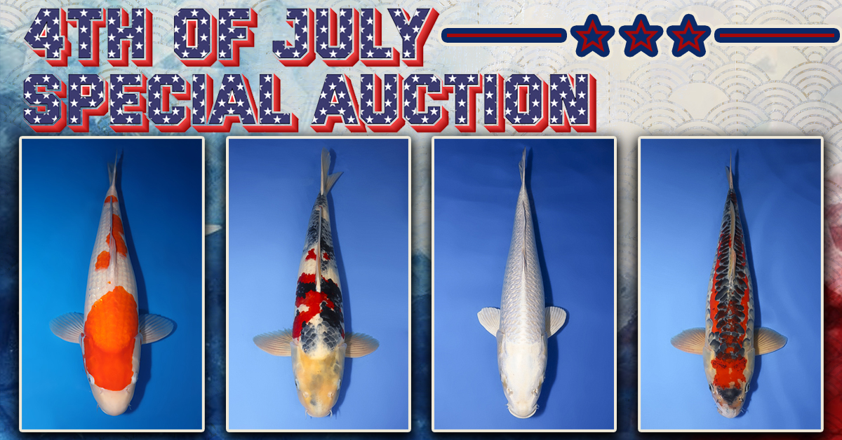 4th of July Special Auction No. 1 Banner