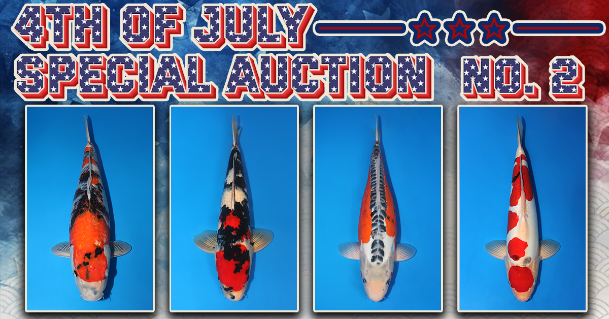 4th of July Special Auction No. 2 Banner