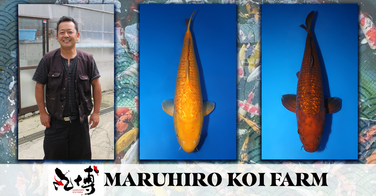 Maruhiro Special Auction Landing Page Banner