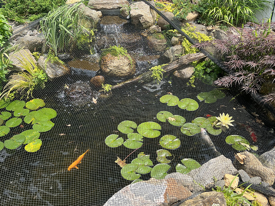 Customer Story: Arthur F. “Dedicated to My Aunt”