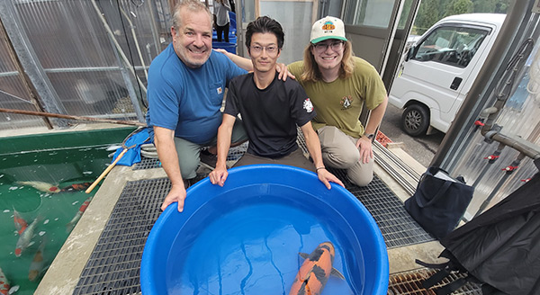 Can you visit koi farms in Japan?