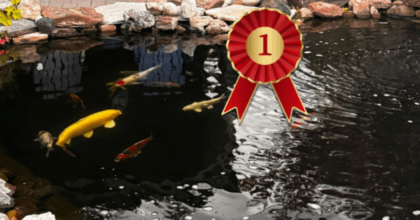 Winning Customer Story: Tom & Shannon B. – “Finding Strength in Still Water”