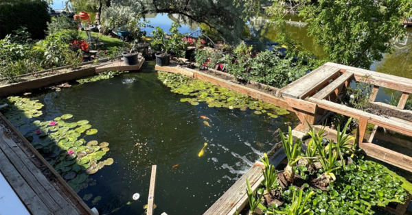 Customer Story: Craig L. – “A Journey of Persistence, Peace, and Pondside Joy”