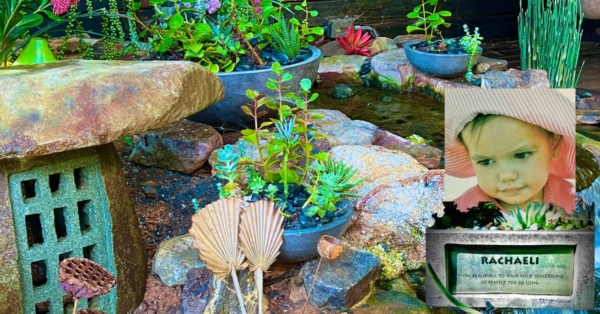 Customer Story: Eric F. – “Rachaeli’s Pond, Where Love Lives, and Silence Speaks”