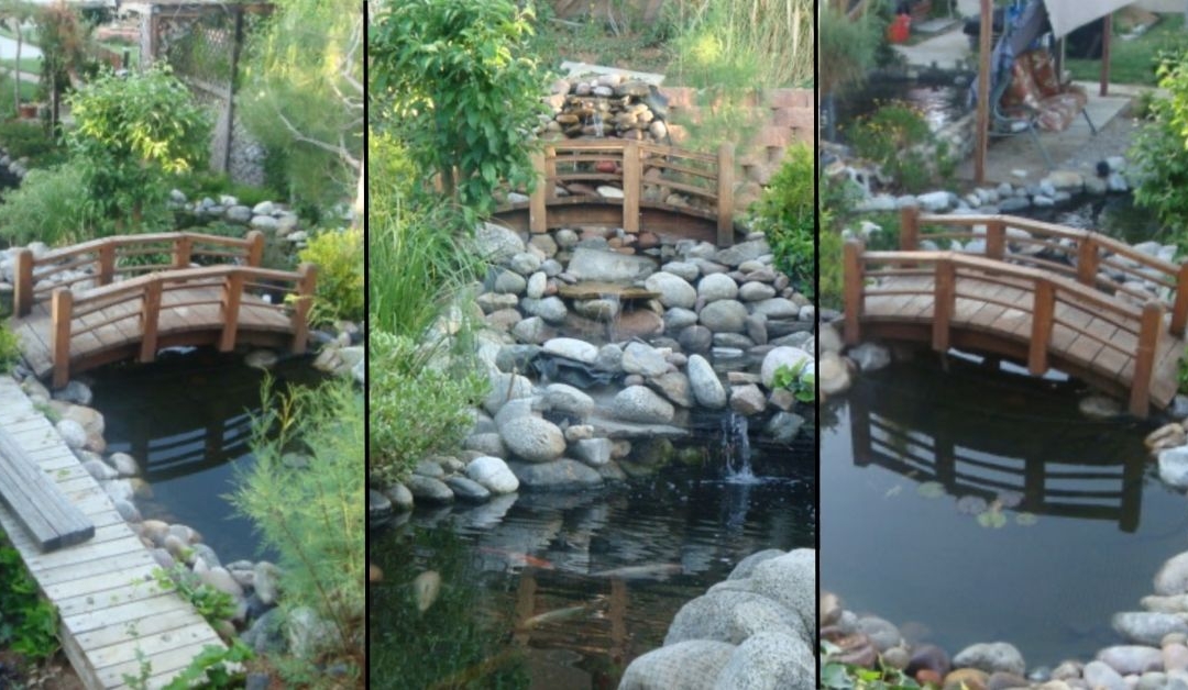 Customer Story: Brian R. – “Home-Built Harmony – 3,500 Gallons of Pure Passion, Naturally Filtered”