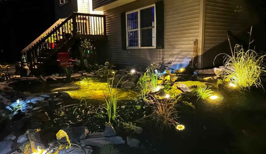 Customer Story: Josh S. – “From Shovel to Sanctuary: How One Father Rebuilt Peace, One Koi at a Time.”
