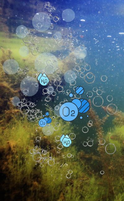 dissolved-oxygen (1)