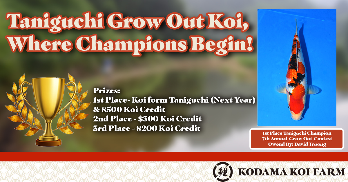 Taniguchi Grow Out Contest