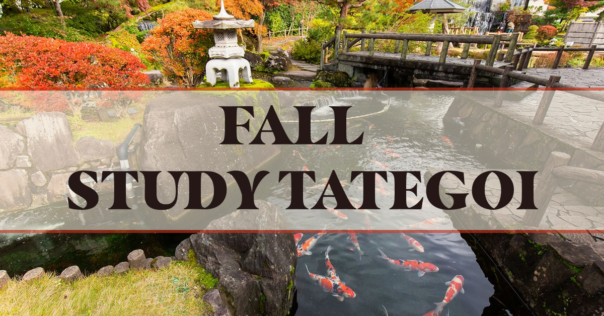 Fall Study Tategoi Small Banner