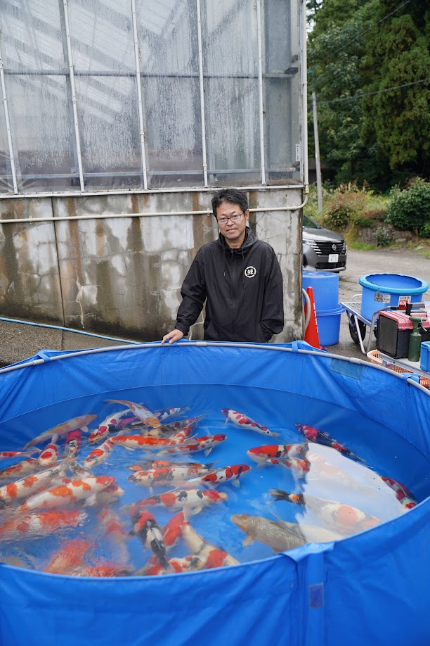 The Koi Matsuri – Premium Breeder Auction NO. 8 Archives - Kodama