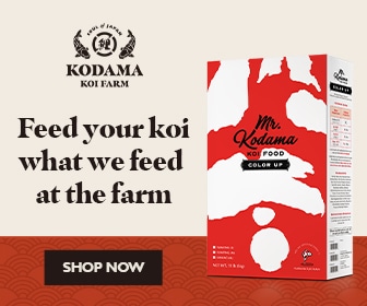 Mr. Kodama Koi Food - feed what we feed at the farm
