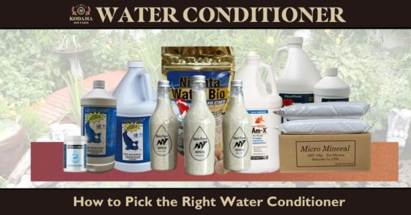 How to Pick the Right Pond Water Conditioner